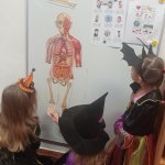 phoca_thumb_m_halloween u zajk 5 Fotogalerie